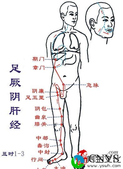 深入揭秘经络与五脏六腑的关系