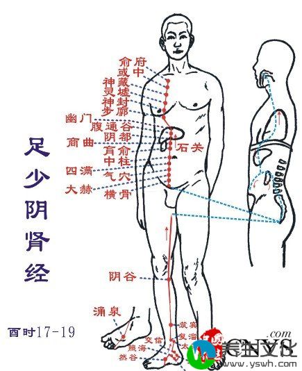 经络养生2种方法养血又益气