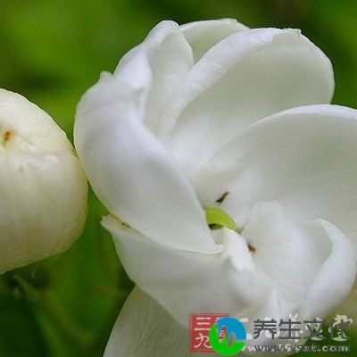 桂花、茉莉花、蜂蜜各10克，粳米100克