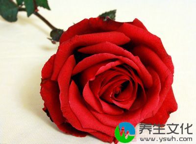 玫瑰花0.3克茉莉花0.3克