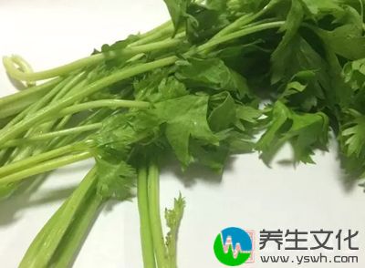 芹菜属于高纤维食物