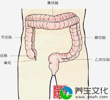 假膜性肠炎