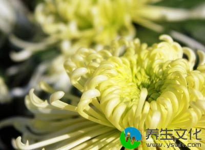 绿豆15克，菊花15克，绿茶10克