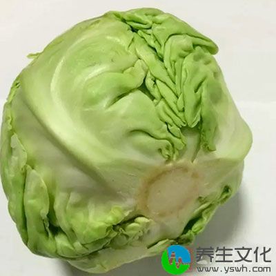 圆白菜亦是开十字花的蔬菜