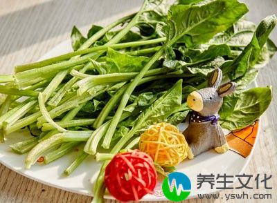 有些人喜欢吃素会在吃菠菜的时候也食用一些韭菜