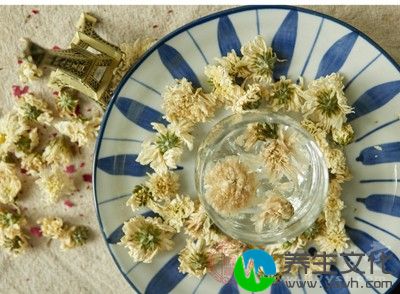 用棉签或者化妆棉浸入菊花茶