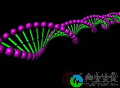 目前研究认为胆石病是多基因相关的疾病