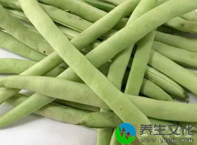 四季豆，又名扁豆、豆角，是比较大众化的菜品