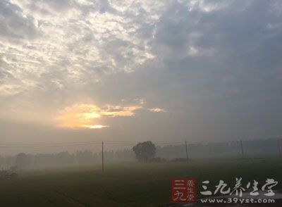 早晨吃水果好处多 这样吃不伤身还保健康