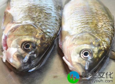 鱼肉一斤半左右、姜丝适量、生抽适量、料酒适量、盐适量、淀粉一大勺