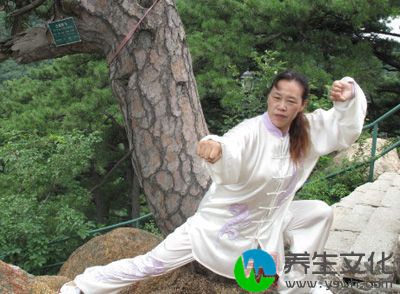 武当太极拳　武当太极拳