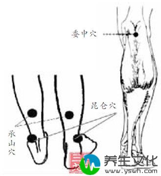 委中穴