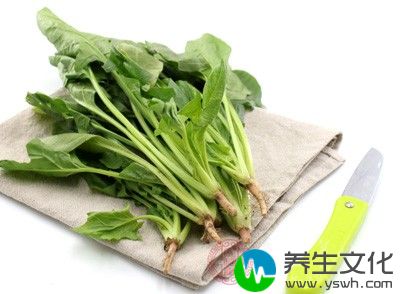 菠菜，蒜，生抽，麻油