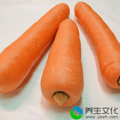 胡萝卜50g、羊排200g、圆葱碎、西芹碎各5g