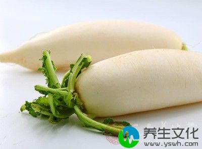 萝卜切片与青果共煮30分钟