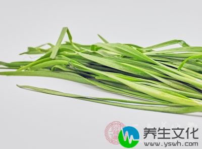 韭菜茎叶内含芳樟醇、甙类、苦味素及硫化物，这些化合物对一些霉菌具有杀伤作用