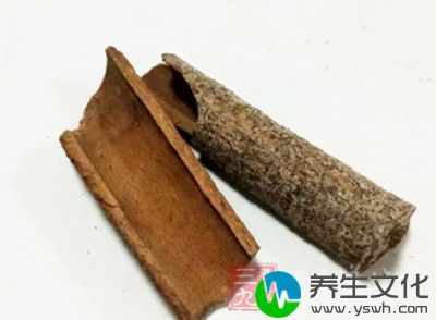 肉桂味辛甘，性大热，具有散寒止痛，温通经脉之功效