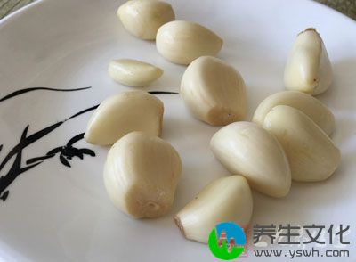 马齿苋60克，大蒜(捣成蒜泥)15克