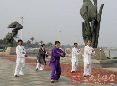 陈氏56式太极拳 学习太极六大步骤