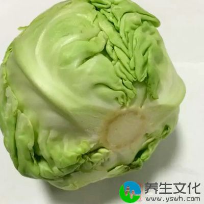 绿色带叶蔬菜、甜瓜和草莓中叶酸的含量最高