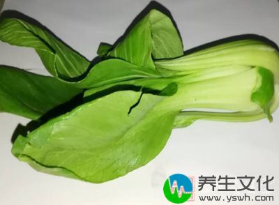 青菜中的钙是所有绿叶蔬菜中含量最高的