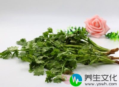 香菜“性味辛温香窜，内通心脾，外达四肢”，具有和胃调中的功效