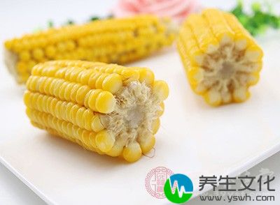 玉米含有丰富的不饱和脂肪酸、维生素、微量元素和氨基酸等营养成分