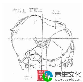 腹腔内脓肿