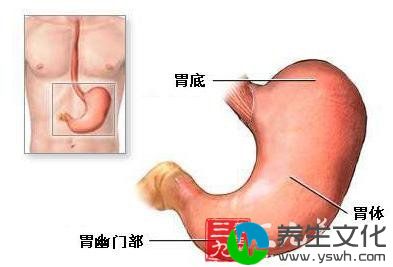 胃内异物