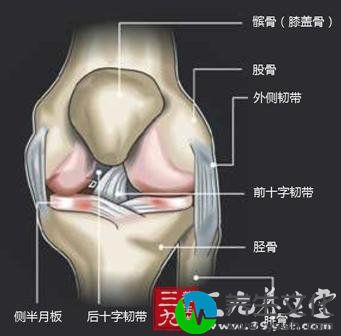 髌骨软化症