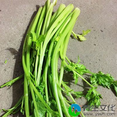 芹菜有助于男性消除口中异味