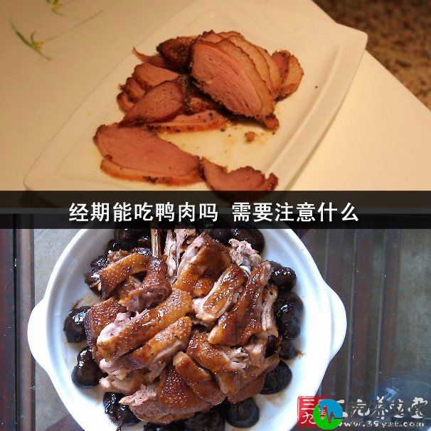 经期能吃鸭肉吗