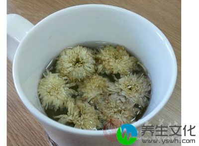 将泡好的菊花茶,用化妆棉浸湿