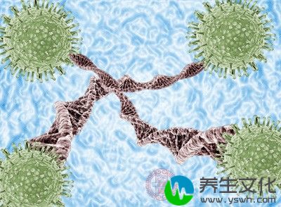 免疫组织学检查