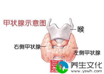 甲状腺肿瘤