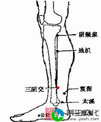 脚底穴位