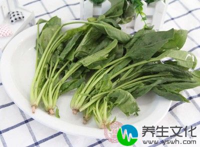 菠菜性味甘寒，止渴润燥，归肺、胃经