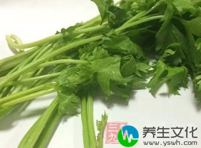 芹菜的茎和叶进行过13项营养成分的测试