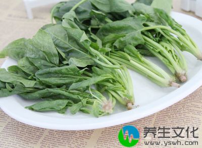 菠菜是常见蔬菜，冬天是吃菠菜最好的季节