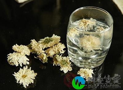 菊花茶清香宜人，尤其是在炎热的夏季泡上一壶菊花茶用来清热解暑那就最好不过了