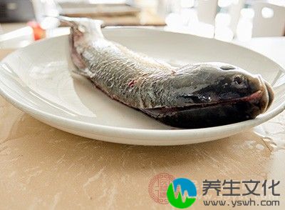 补血要多吃红肉、动物肝、动物血、禽肉、鱼肉等含铁高的动物性食物