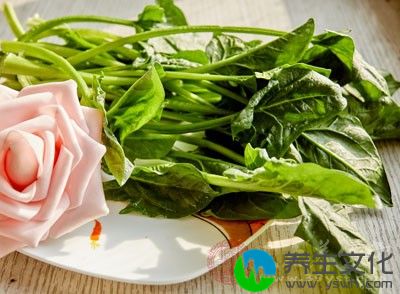 我们经常会用菠菜和豆腐烹饪成美食