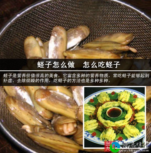 三丝拌蛏肉