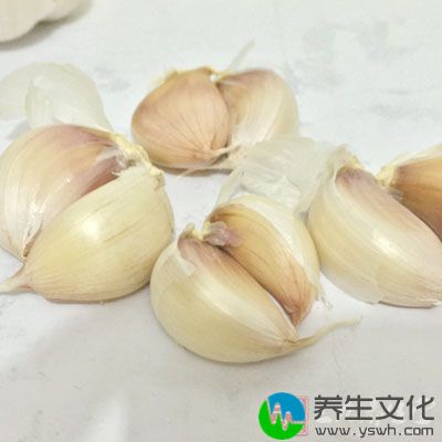 茄子适量、食盐适量、蒜适量、干辣椒适量、橄榄油少许