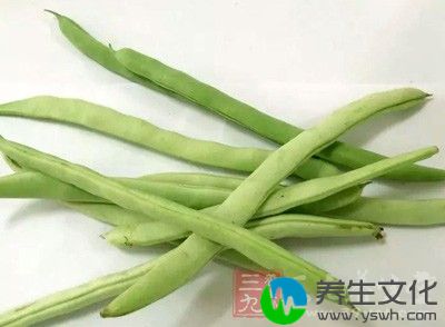 如果四季豆未煮熟，豆中的皂素会强烈刺激消化道