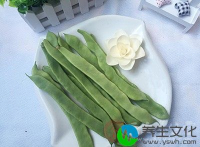 100%白扁豆煎剂用平板纸片法，对痢疾杆菌和有抑制作用