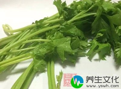 芹菜不但营养丰富，而且有药用价值