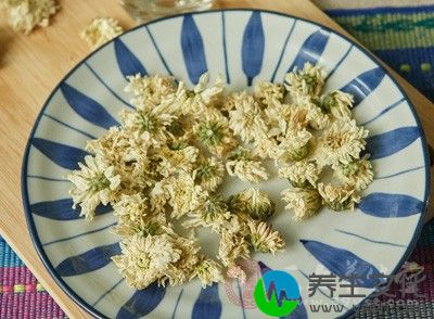 新鲜菊花瓣50克