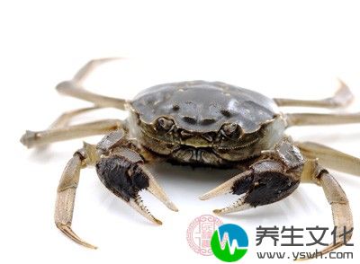 海蟹死了可以吃吗