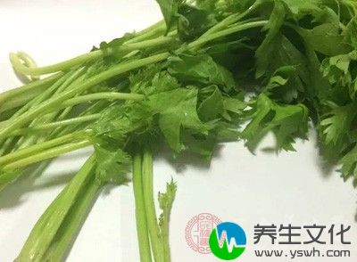 芹菜含酸性的降压成分，对兔、犬静脉注射有明显降压作用